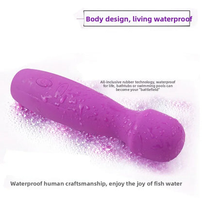 Vibrators for couples, AV sticks, wireless adult sex toys, hand-held massagers.